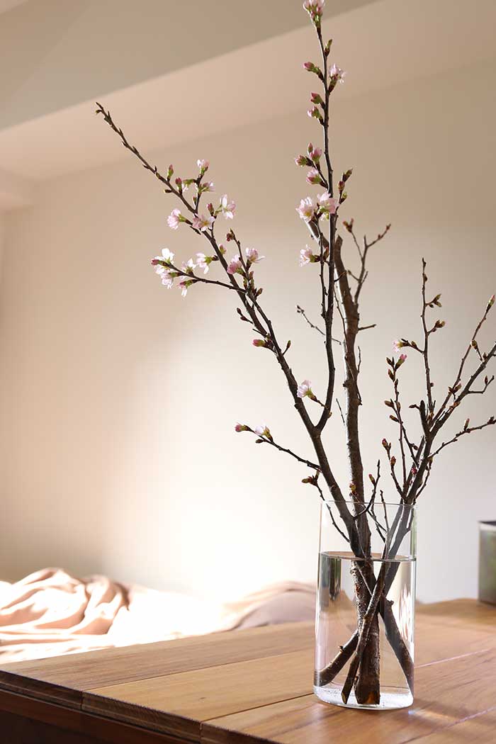 冬に咲く桜の枝をガラス花瓶に生けてみた！すごい存在感で部屋がセンス 